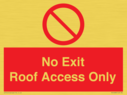 no-exitroof-access-only~